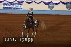 18YN_17899 thumbnail