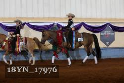 18YN_17976 thumbnail