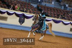 18YN_36441 thumbnail