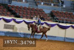 18YN_34794 thumbnail