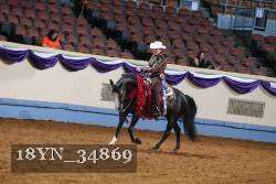 18YN_34869 thumbnail