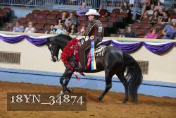 18YN_34874 thumbnail