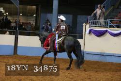 18YN_34875 thumbnail