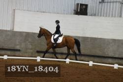 18YN_18404 thumbnail