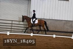 18YN_18405 thumbnail