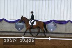 18YN_18406 thumbnail