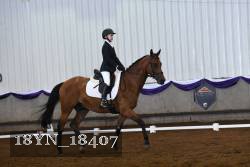 18YN_18407 thumbnail