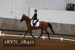 18YN_18411 thumbnail