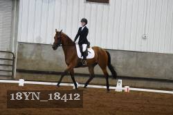 18YN_18412 thumbnail