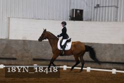 18YN_18418 thumbnail