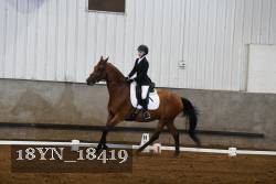 18YN_18419 thumbnail