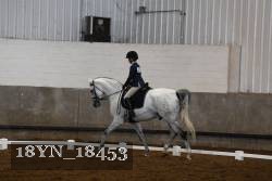 18YN_18453 thumbnail
