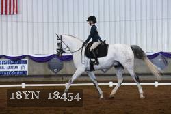 18YN_18454 thumbnail