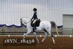 18YN_18458 thumbnail