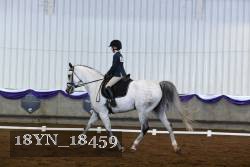 18YN_18459 thumbnail