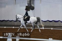 18YN_18460 thumbnail