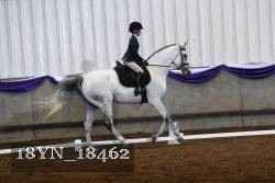 18YN_18462 thumbnail