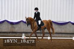 18YN_18472 thumbnail