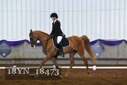 18YN_18473 thumbnail