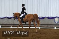 18YN_18474 thumbnail