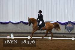 18YN_18476 thumbnail