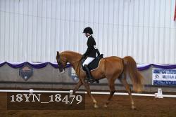 18YN_18479 thumbnail