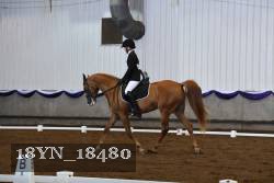18YN_18480 thumbnail