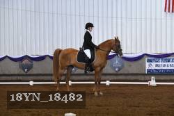 18YN_18482 thumbnail