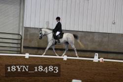 18YN_18483 thumbnail