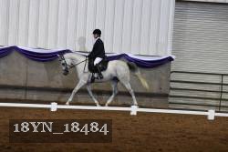 18YN_18484 thumbnail