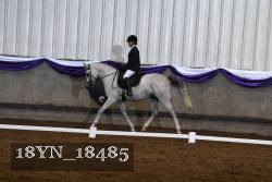 18YN_18485 thumbnail
