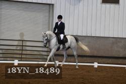 18YN_18489 thumbnail