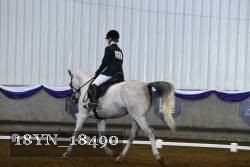 18YN_18490 thumbnail