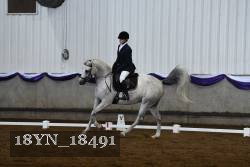 18YN_18491 thumbnail
