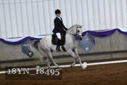 18YN_18495 thumbnail