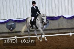 18YN_18497 thumbnail