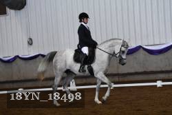 18YN_18498 thumbnail