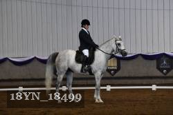 18YN_18499 thumbnail