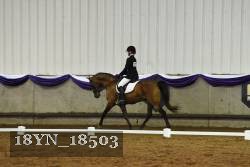 18YN_18503 thumbnail