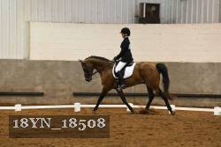18YN_18508 thumbnail