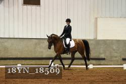 18YN_18509 thumbnail