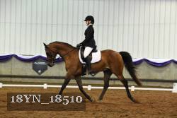 18YN_18510 thumbnail