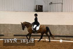 18YN_18512 thumbnail