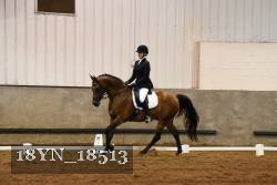 18YN_18513 thumbnail