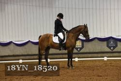 18YN_18520 thumbnail