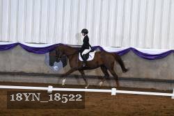 18YN_18522 thumbnail
