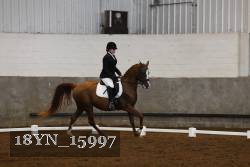 18YN_15997 thumbnail