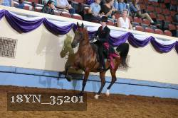 18YN_35201 thumbnail