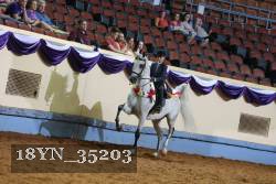 18YN_35203 thumbnail