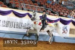 18YN_35205 thumbnail